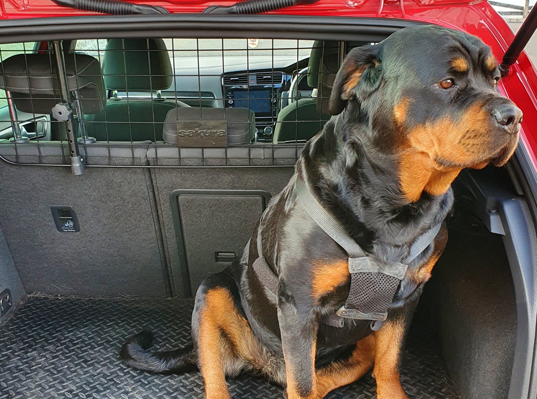 Headrest dog online guards for cars